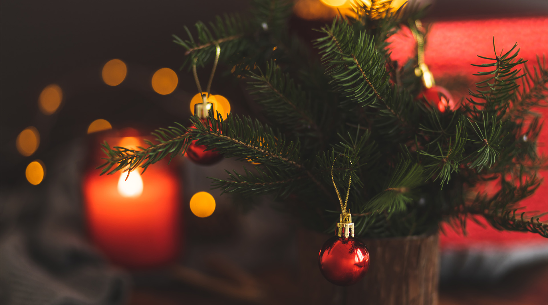 evergreen tree branches with red ornaments