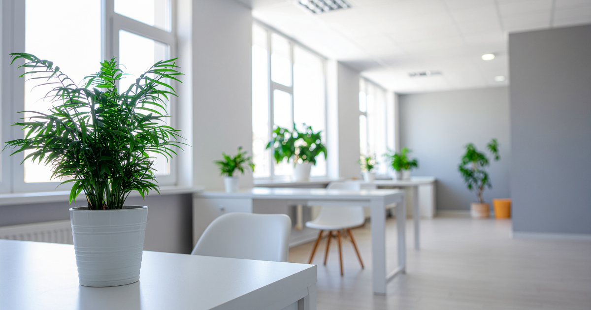 Why Spring is the Make or Break Season for Employers Westphal Staffing Westphal Staffing